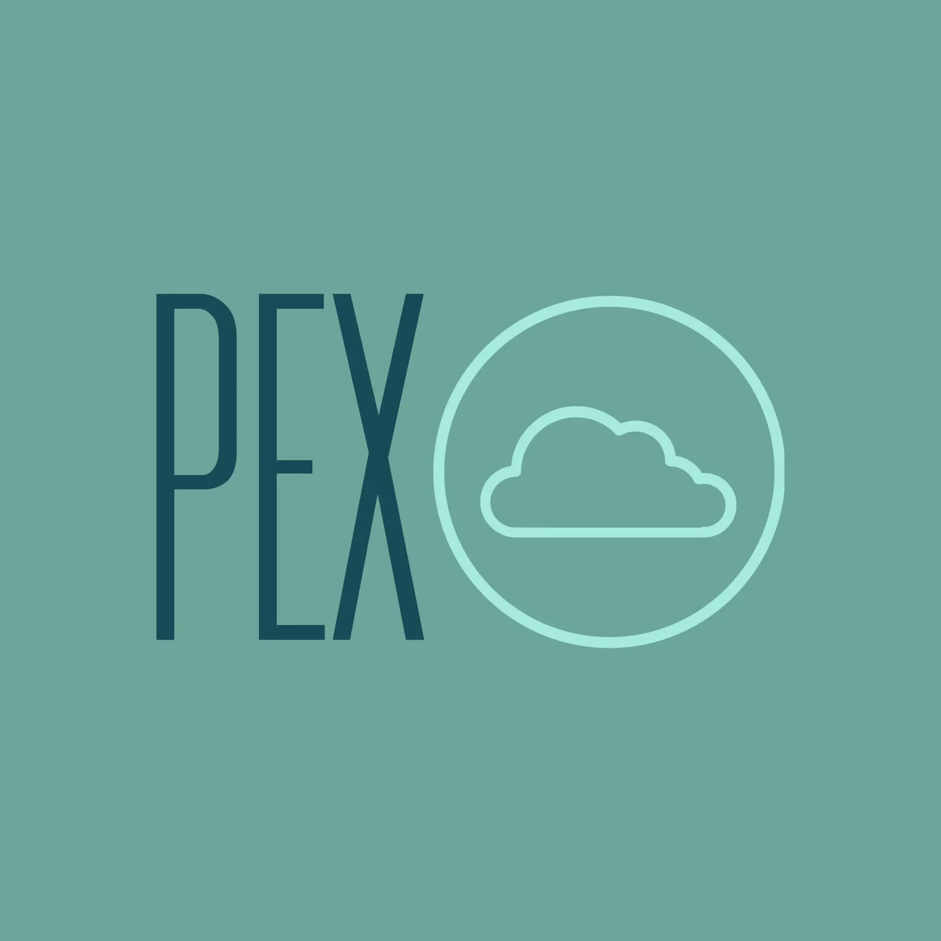 Logo IT service company PEXO