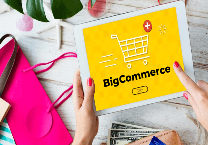 BigCommerce Development
