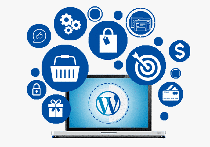 WordPress Development